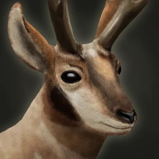 星辰's profile avatar