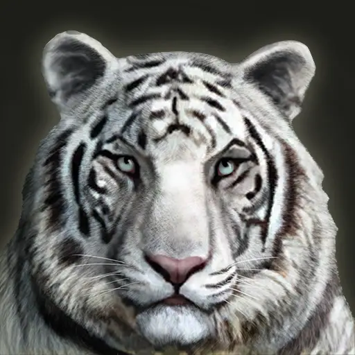 Gato do Armazem's profile avatar
