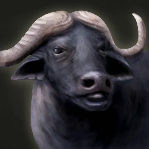 chis's profile avatar