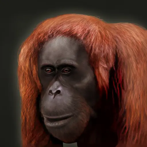 Potato's profile avatar