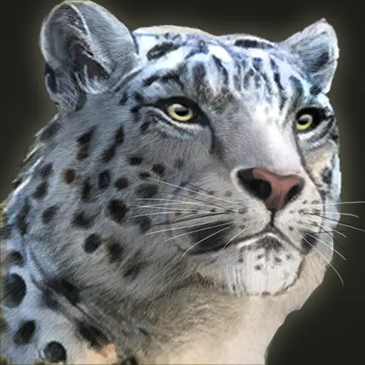 Maverick's profile avatar