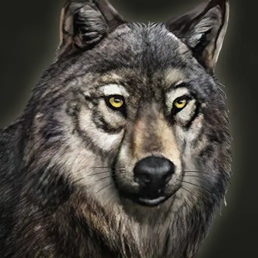 Frontline's profile avatar