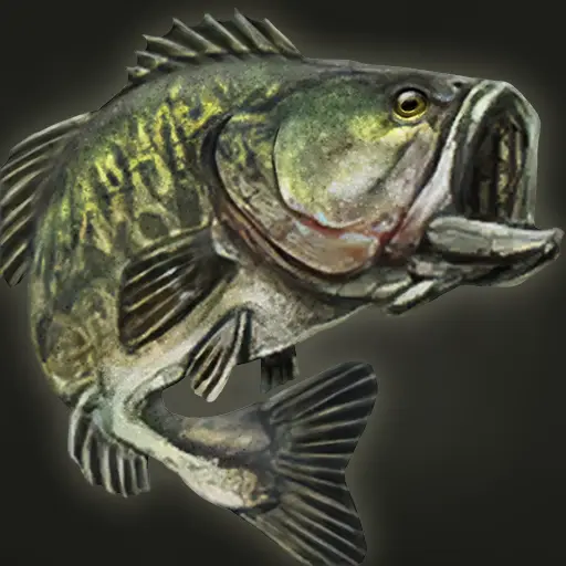 Incoxi's profile avatar