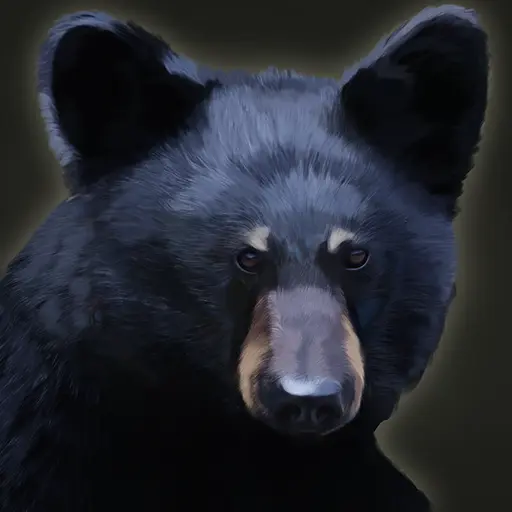 Gentle Pete the Pet Bear portrait