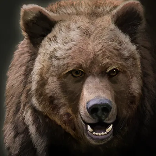 Pet Brown Bear portrait