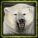 Big Jerome the Tame Polar Bear