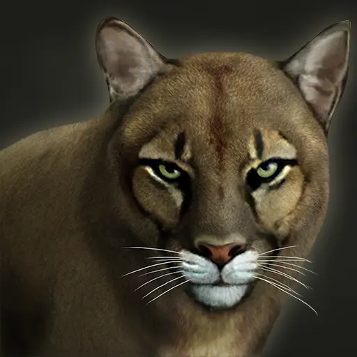 Buttercup the Pet Cougar portrait