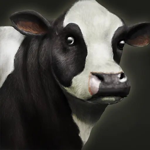 Cow portrait