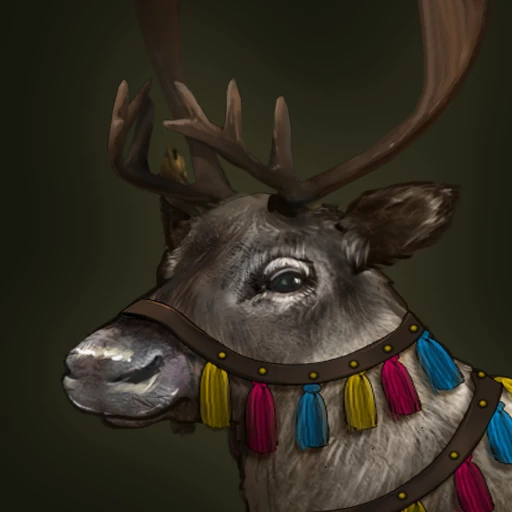 Sámi Reindeer portrait
