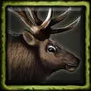 Elk