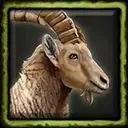 Ibex