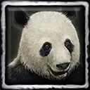 Pete-Pete the Tame Panda