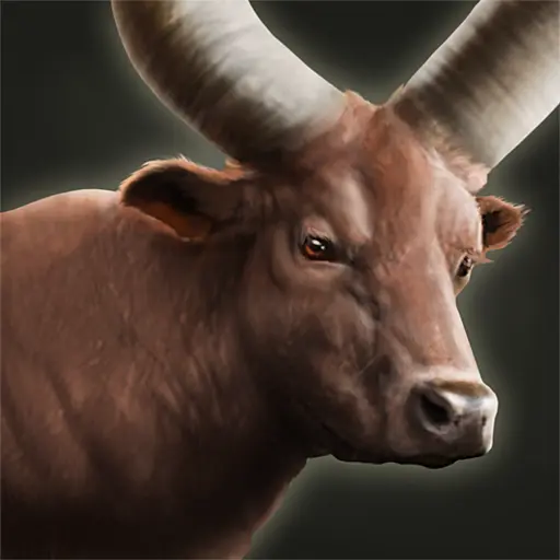 Sanga Cattle portrait