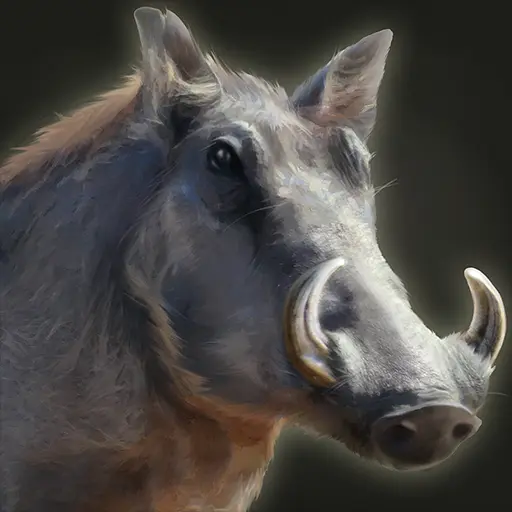 Sheep portrait