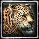 Sanura the Tame Leopard