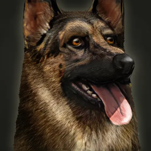 Explorer's Dog portrait